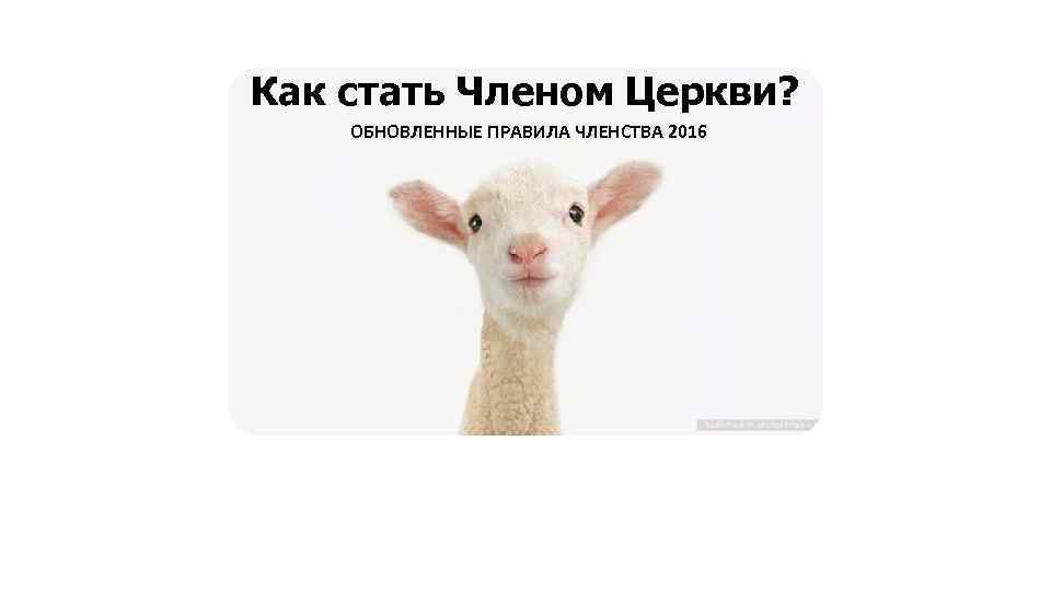 Как стать Членом Церкви? ОБНОВЛЕННЫЕ ПРАВИЛА ЧЛЕНСТВА 2016 