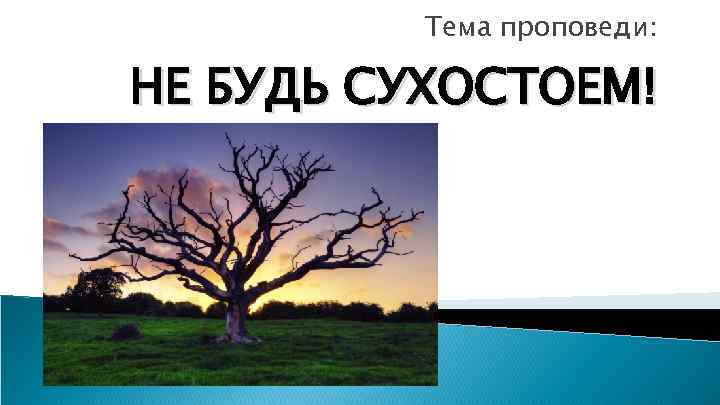 Тема проповеди: НЕ БУДЬ СУХОСТОЕМ! 