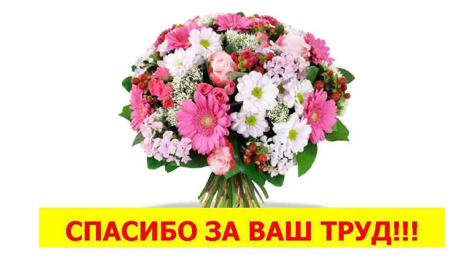  СПАСИБО ЗА ВАШ ТРУД!!! 