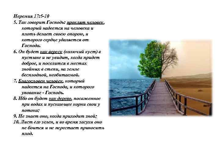 Иеремия 17: 5 -10 5. Так говорит Господь: проклят человек, который надеется на человека