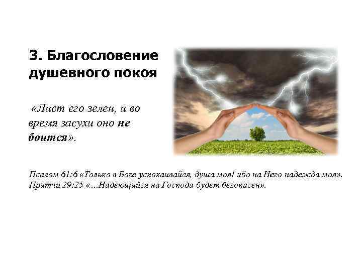 3. Благословение душевного покоя «Лист его зелен, и во время засухи оно не боится»