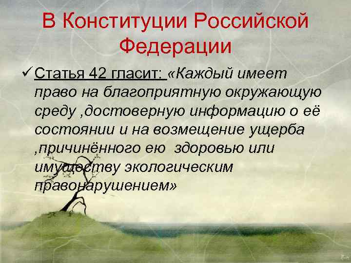 В Конституции Российской Федерации ü Статья 42 гласит: «Каждый имеет право на благоприятную окружающую