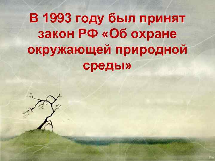 В 1993 году был принят закон РФ «Об охране окружающей природной среды» 