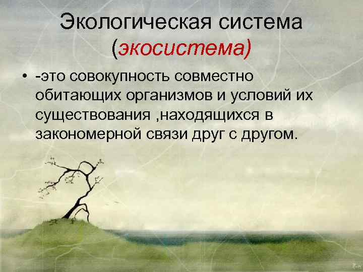 Экологическая система (экосистема) • -это совокупность совместно обитающих организмов и условий их существования ,