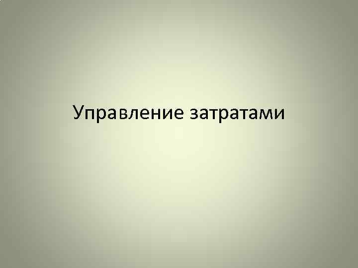 Управление затратами 