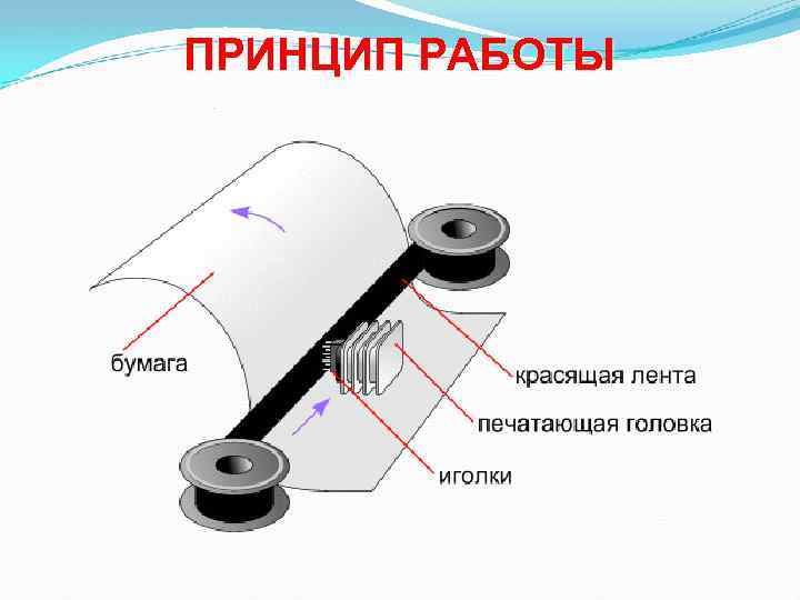 ПРИНЦИП РАБОТЫ 