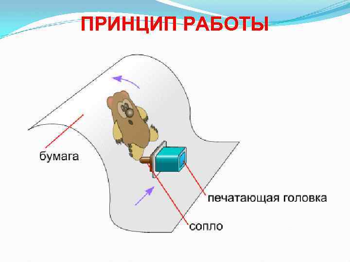 ПРИНЦИП РАБОТЫ 