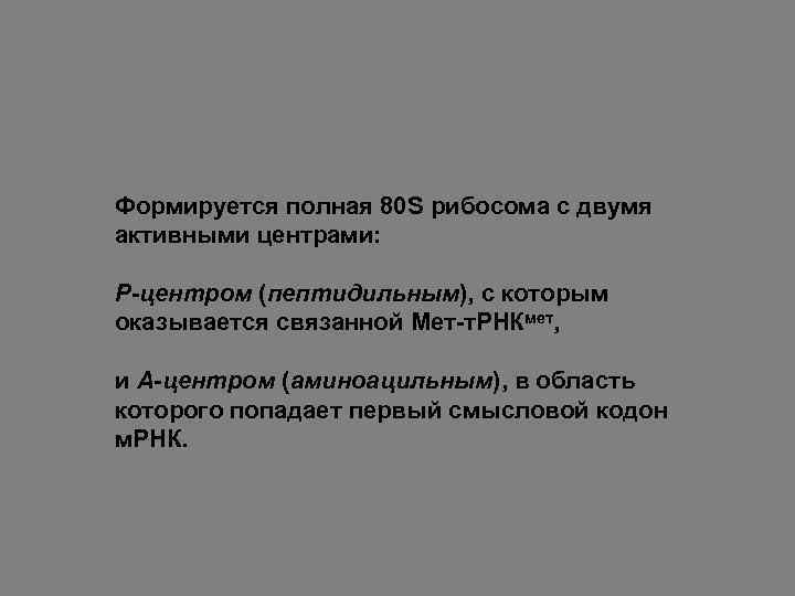 Формируется полная 80 S рибосома с двумя активными центрами: Р-центром (пептидильным), с которым оказывается