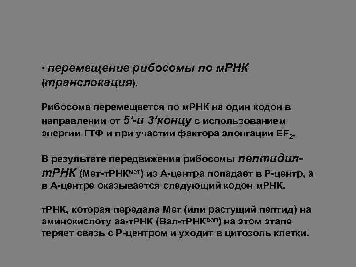  • перемещение рибосомы по м. РНК (транслокация). Рибосома перемещается по м. РНК на