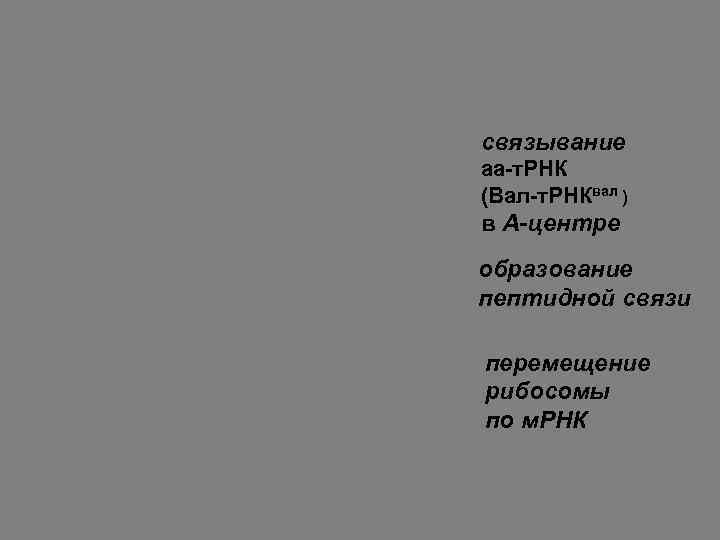 связывание аа-т. РНК (Вал-т. РНКвал ) в А-центре образование пептидной связи перемещение рибосомы по