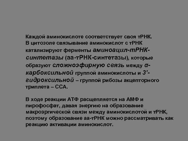 Каждой аминокислоте соответствует своя т. РНК. В цитозоле связывание аминокислот с т. РНК катализируют