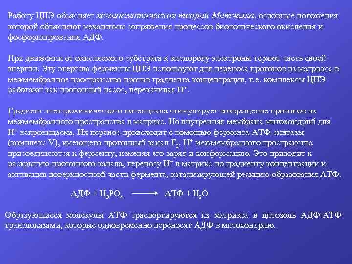 Работу ЦПЭ объясняет хемиосмотическая теория Митчелла, основные положения которой объясняют механизмы сопряжения процессов биологического