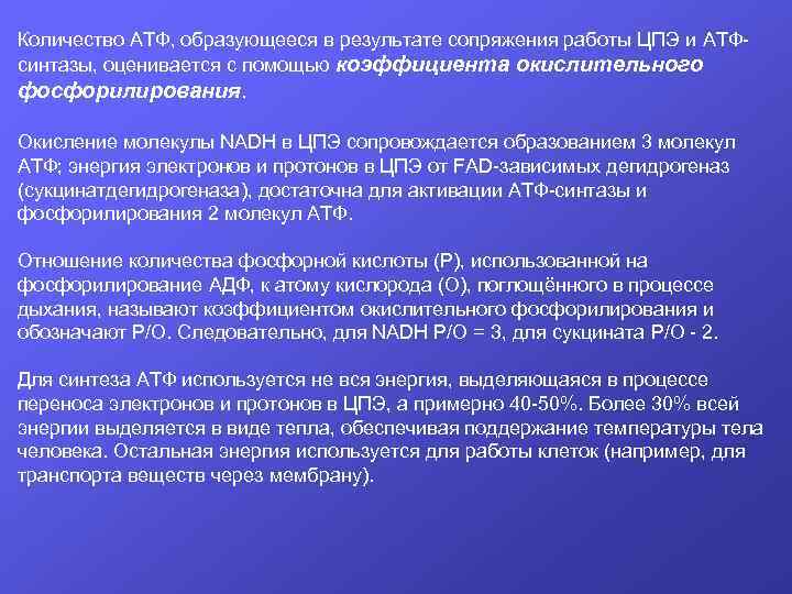 Количество АТФ, образующееся в результате сопряжения работы ЦПЭ и АТФсинтазы, оценивается с помощью коэффициента