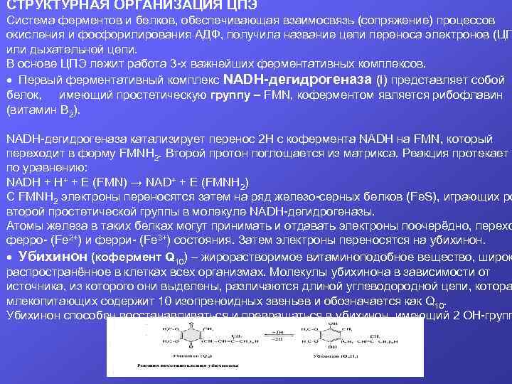 СТРУКТУРНАЯ ОРГАНИЗАЦИЯ ЦПЭ Система ферментов и белков, обеспечивающая взаимосвязь (сопряжение) процессов окисления и фосфорилирования