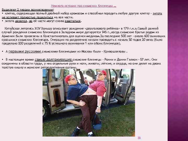 Немного истории про сиамских близнецах … Выделяют 2 теории возникновения: • клетка, содержащая полный