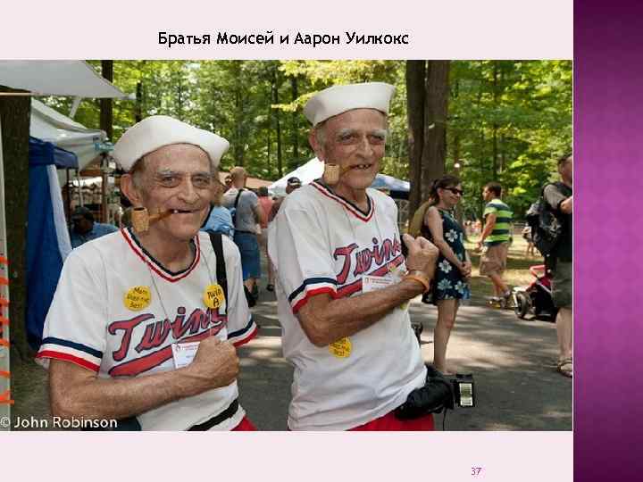 Братья Моисей и Аарон Уилкокс 37 