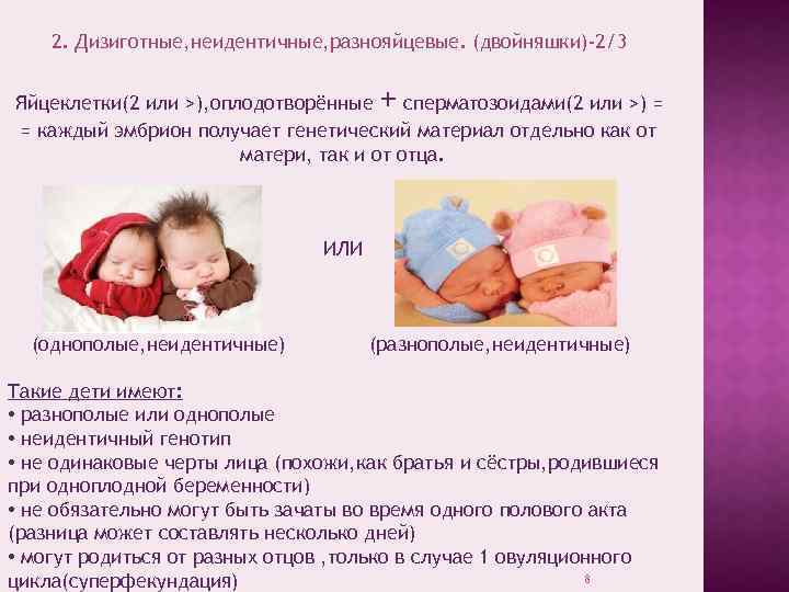 2. Дизиготные, неидентичные, разнояйцевые. (двойняшки)-2/3 + Яйцеклетки(2 или >), оплодотворённые сперматозоидами(2 или >) =