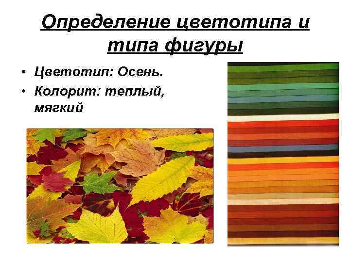 Определение цветотипа и типа фигуры • Цветотип: Осень. • Колорит: теплый, мягкий 