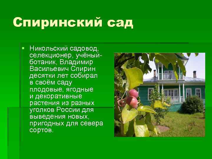 Спиринский сад § Никольский садовод, селекционер, учёныйботаник, Владимир Васильевич Спирин десятки лет собирал в