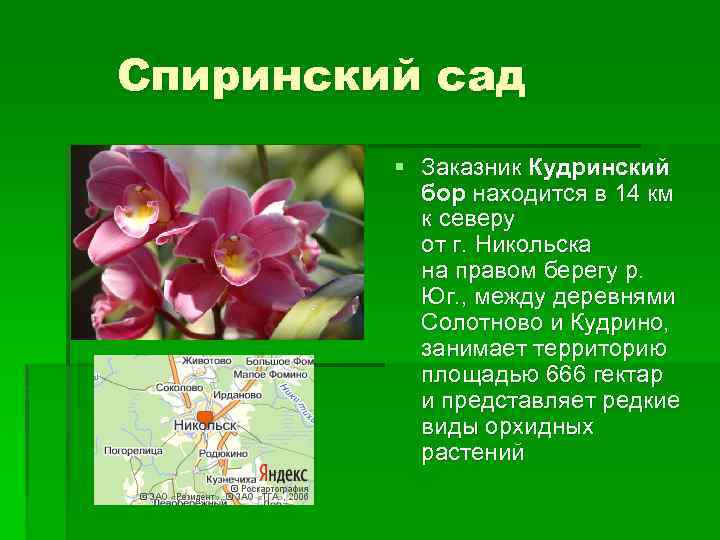 Спиринский сад § Заказник Кудринский бор находится в 14 км к северу от г.