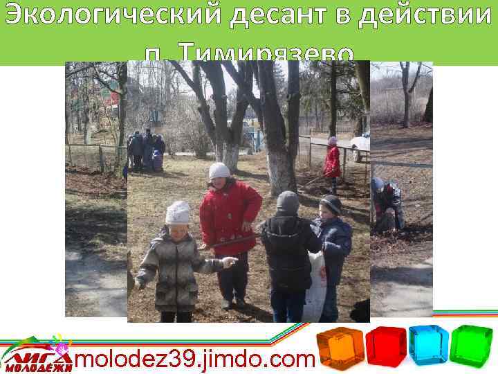 Экологический десант в действии п. Тимирязево molodez 39. jimdo. com 