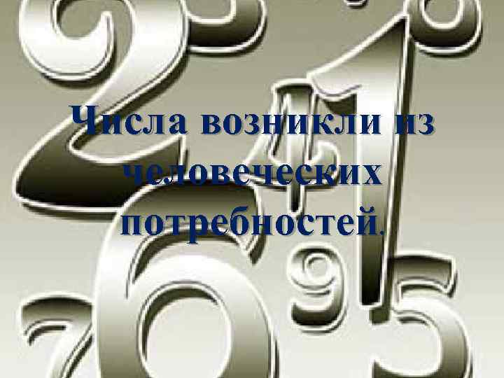 Числа возникли из человеческих потребностей. 