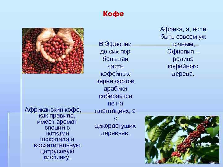 Кофе Африканский кофе, как правило, имеет аромат специй с нотками шоколада и восхитительную цитрусовую