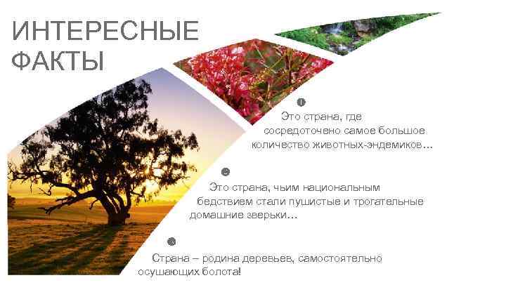 ИНТЕРЕСНЫЕ ФАКТЫ Это страна, где сосредоточено самое большое количество животных-эндемиков… Это страна, чьим национальным