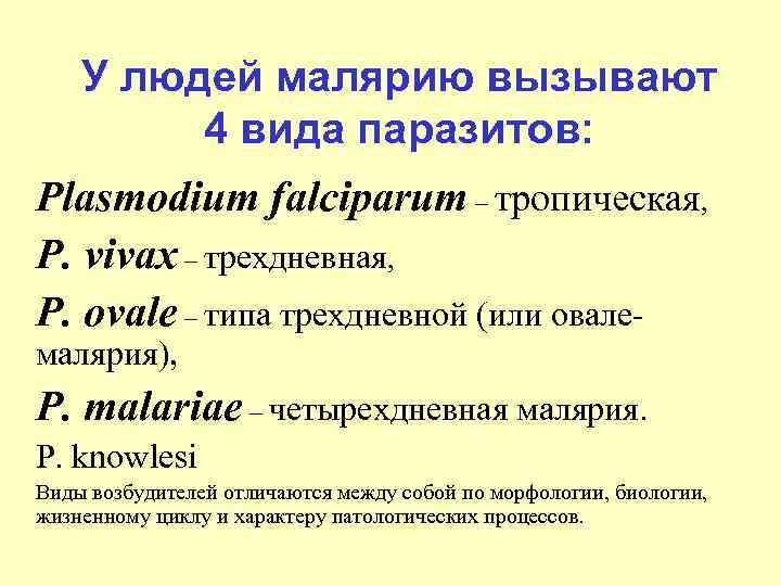 У людей малярию вызывают 4 вида паразитов: Plasmodium falciparum – тропическая, P. vivax –