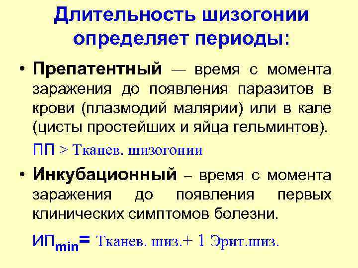 Длительность шизогонии определяет периоды: • Препатентный — время с момента заражения до появления паразитов
