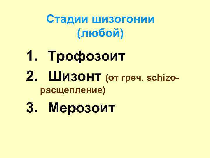 Стадии шизогонии (любой) 1. Трофозоит 2. Шизонт (от греч. schizoрасщепление) 3. Мерозоит 