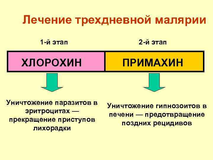 Лечение трехдневной малярии 1 -й этап ХЛОРОХИН Уничтожение паразитов в эритроцитах — прекращение приступов