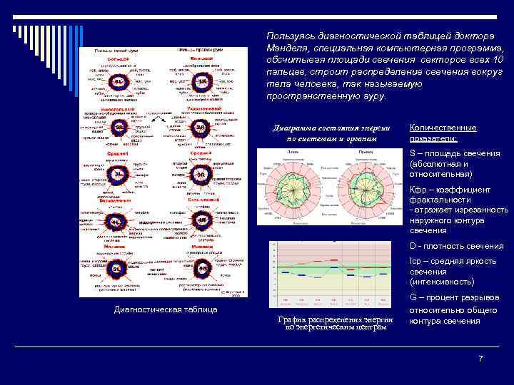 Пользуясь диагностической таблицей доктора Манделя, специальная компьютерная программа, обсчитывая площади свечения секторов всех 10