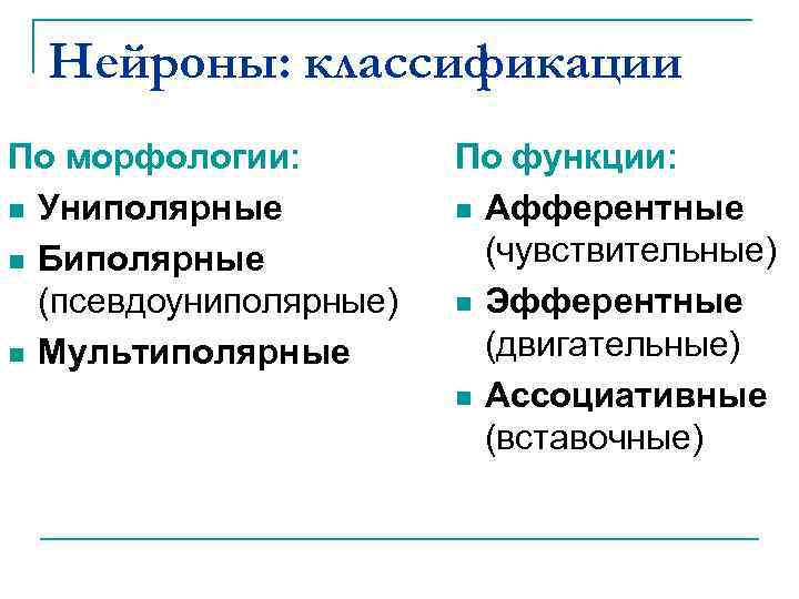 Нейроны: классификации По морфологии: n Униполярные n Биполярные (псевдоуниполярные) n Мультиполярные По функции: n