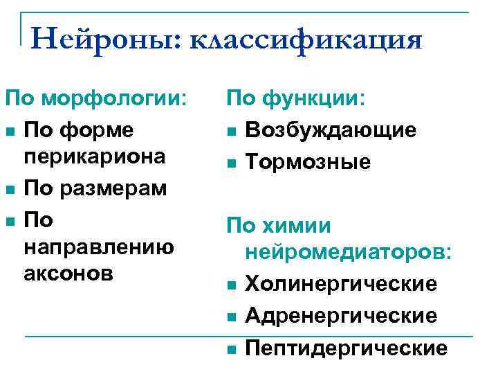 Нейроны: классификация По морфологии: n По форме перикариона n По размерам n По направлению