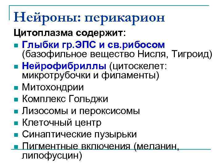 Нейроны: перикарион Цитоплазма содержит: n Глыбки гр. ЭПС и св. рибосом (базофильное вещество Нисля,