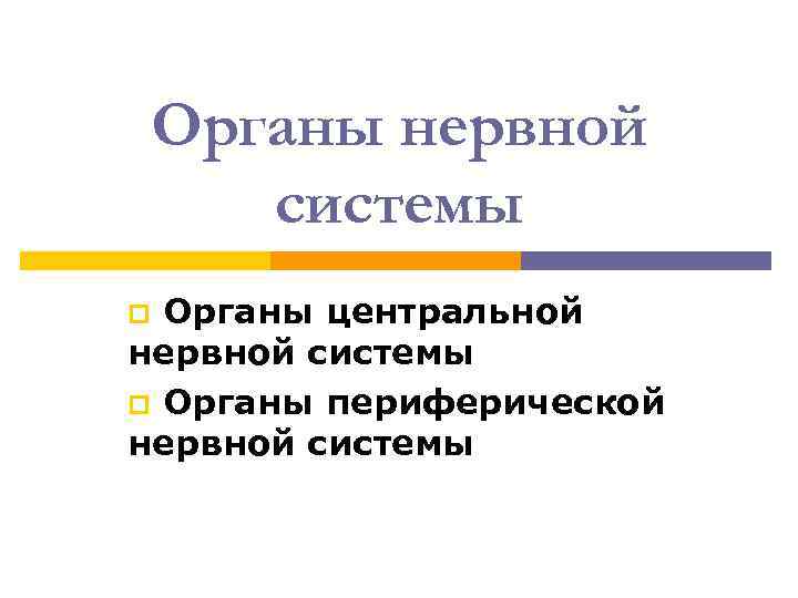 Органы нервной системы Органы центральной нервной системы p Органы периферической нервной системы p 