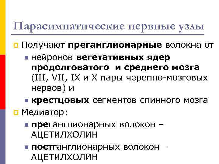 Парасимпатические нервные узлы Получают преганглионарные волокна от n нейронов вегетативных ядер продолговатого и среднего