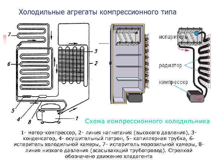 Процесс охлаждения холодильника. Холодильник Бирюса схема испарителя. Холодильник Норд двухкамерный схема компрессора. Схема холодильного агрегата холодильной камеры.