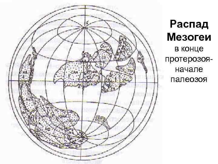 Распад Мезогеи в конце протерозояначале палеозоя 