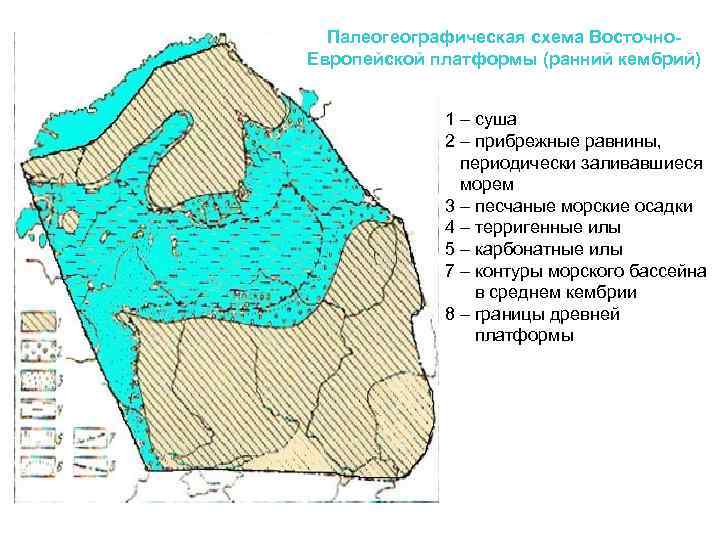 Палеогеографическая схема Восточно. Европейской платформы (ранний кембрий) 1 – суша 2 – прибрежные равнины,