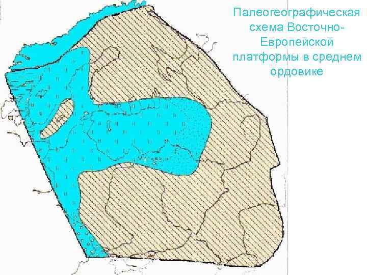 Палеогеографическая схема Восточно. Европейской платформы в среднем ордовике 