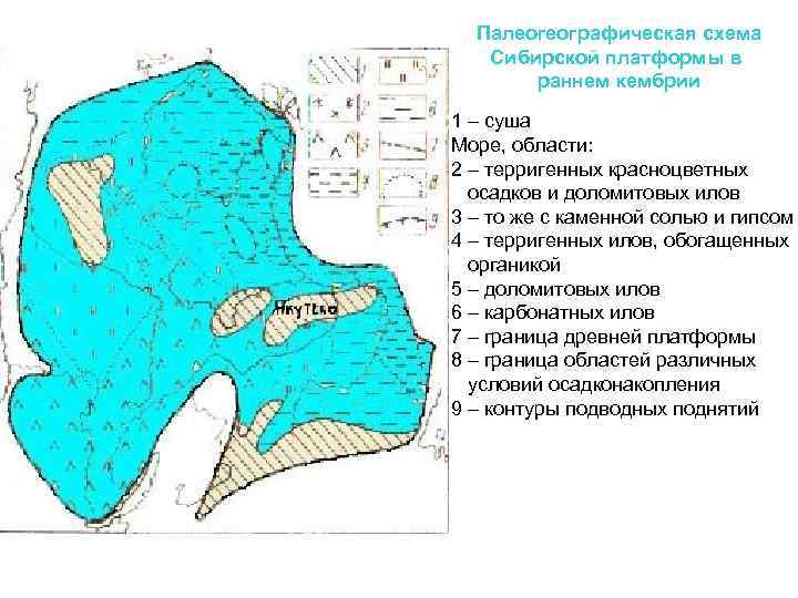 Палеогеографическая схема Сибирской платформы в раннем кембрии 1 – суша Море, области: 2 –