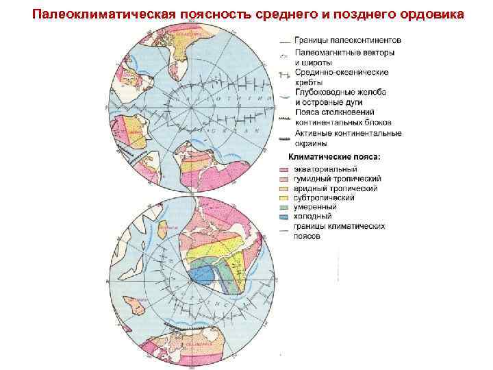 Палеоклиматическая поясность среднего и позднего ордовика 