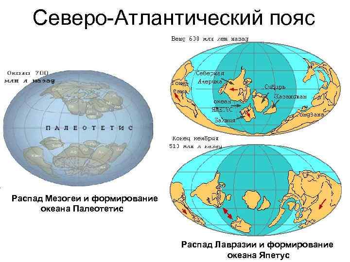 Северо-Атлантический пояс Распад Мезогеи и формирование океана Палеотетис Распад Лавразии и формирование океана Япетус