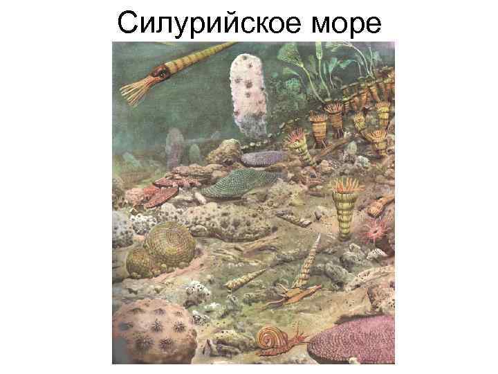 Силурийское море 