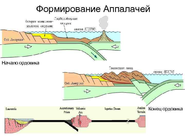 Формирование Аппалачей Начало ордовика Конец ордовика 