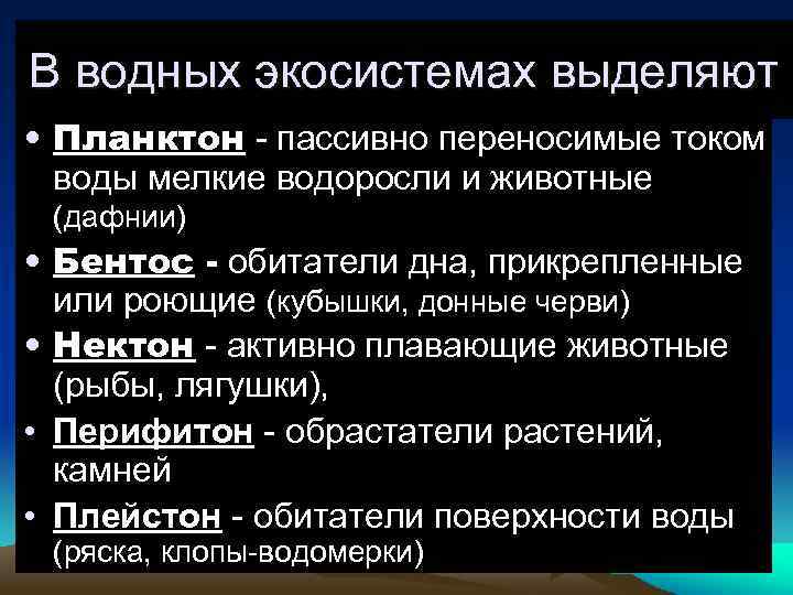 В водных экосистемах выделяют • Планктон - пассивно переносимые током воды мелкие водоросли и