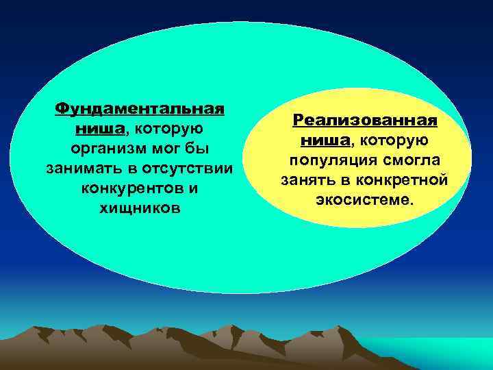 Фундаментальная ниша, которую организм мог бы занимать в отсутствии конкурентов и хищников Реализованная ниша,