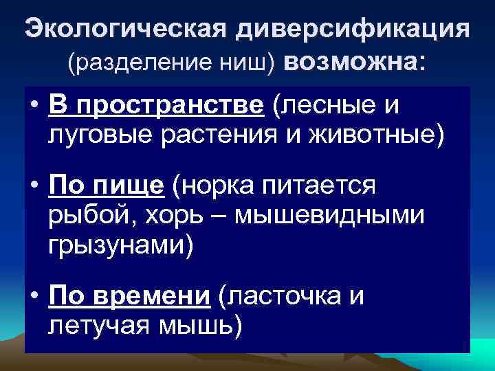 Экологическая диверсификация (разделение ниш) возможна: • В пространстве (лесные и луговые растения и животные)